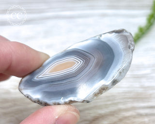 Botswana Agate Slice #8
