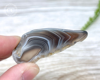 Botswana Agate Slice #9