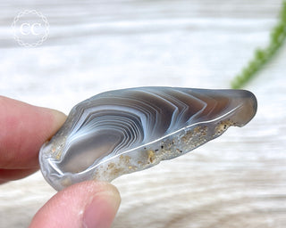 Botswana Agate Slice #9