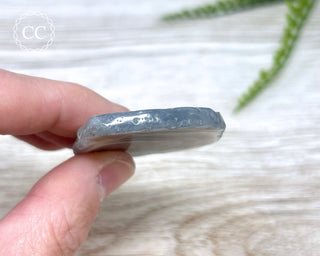 Botswana Agate Slice #1