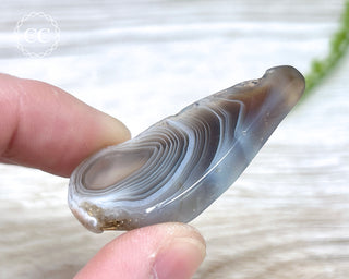 Botswana Agate Slice #9