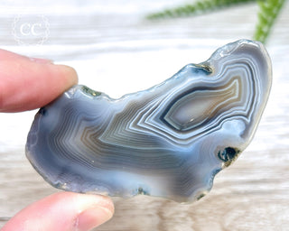Botswana Agate Slice #2