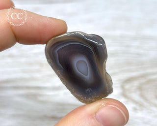 Botswana Small Agate Slice #1