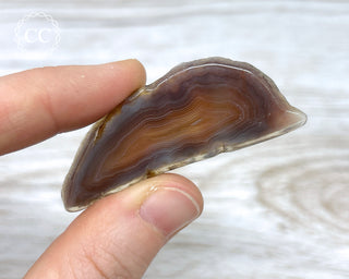 Botswana Small Agate Slice #2