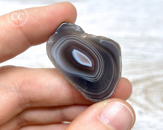 Botswana Small Agate Slice #1