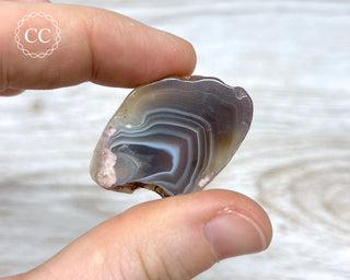 Botswana Small Agate Slice #4