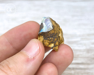 Boulder Opal Rough #2