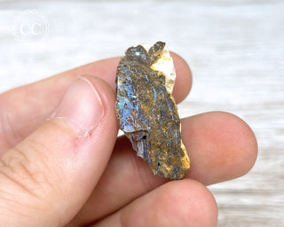 Boulder Opal Rough #6