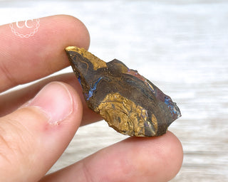 Boulder Opal Rough #8