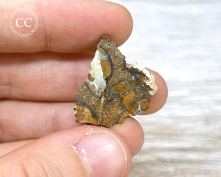 Boulder Opal Rough #12
