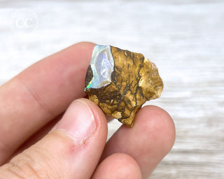 Boulder Opal Rough #2