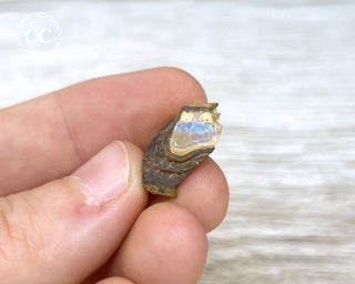 Boulder Opal Rough #15