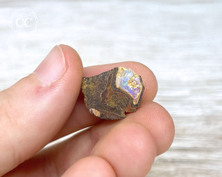Boulder Opal Rough #15