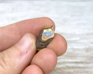 Boulder Opal Rough #15