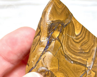 Boulder Opal Polished #1