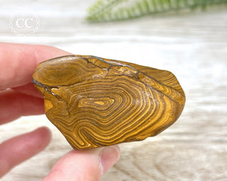 Boulder Opal Polished #1