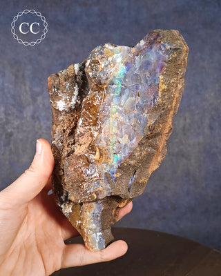 A hand holding a large Boulder Opal with good colour from Quilpie in Queensland, Australia