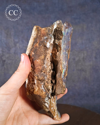 Australian Boulder Opal #1