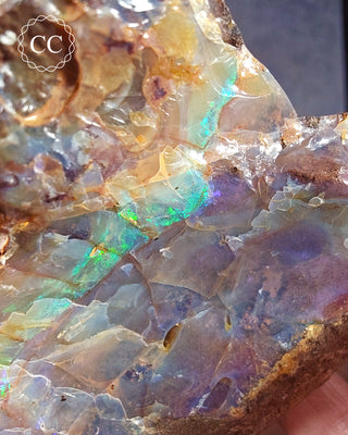 Australian Boulder Opal #1