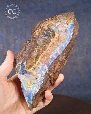 A hand holding a large Boulder Opal with good colour from Quilpie in Queensland, Australia