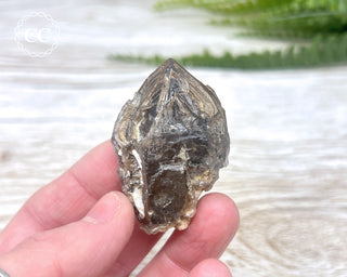 Brandberg Amethyst #4