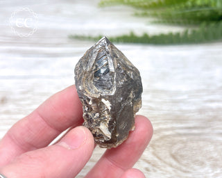 Brandberg Amethyst #4