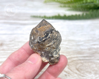 Brandberg Amethyst #4