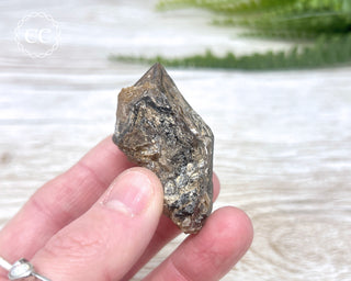 Brandberg Amethyst #4