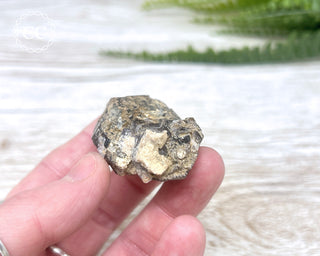 Brandberg Amethyst #4