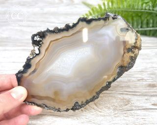 Brazilian Agate Slice #14