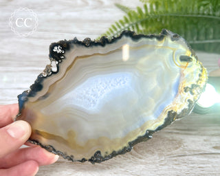 Brazilian Agate Slice #14