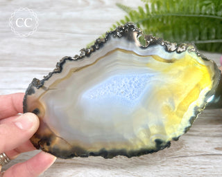 Brazilian Agate Slice #14