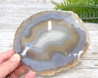 Brazilian Agate Slice #16