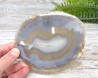 Brazilian Agate Slice #16