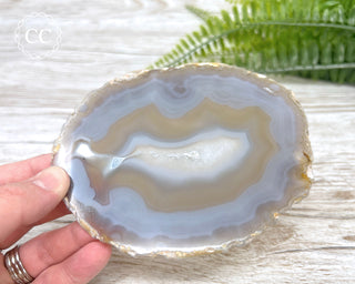 Brazilian Agate Slice #16