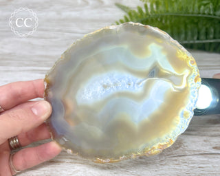 Brazilian Agate Slice #16