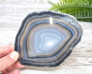 Brazilian Agate Slice #18