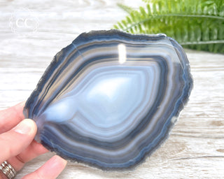 Brazilian Agate Slice #18