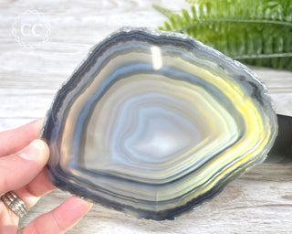 Brazilian Agate Slice #18