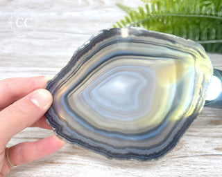 Brazilian Agate Slice #18