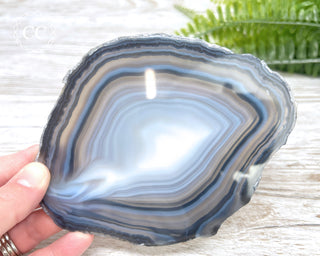 Brazilian Agate Slice #19