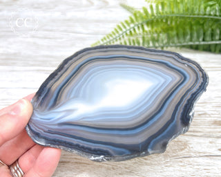 Brazilian Agate Slice #19