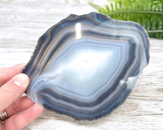 Brazilian Agate Slice #19