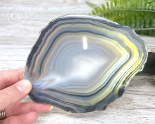 Brazilian Agate Slice #19