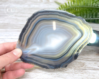 Brazilian Agate Slice #19