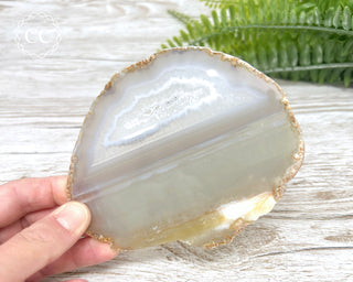 Brazilian Agate Slice #3