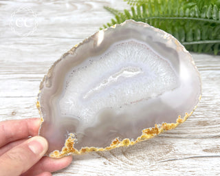 Brazilian Agate Slice #1