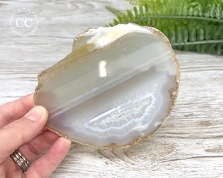 Brazilian Agate Slice #3