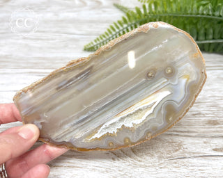 Brazilian Agate Slice #7