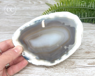 Brazilian Agate Slice #4